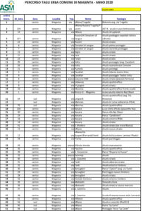 In città riparte la manutenzione del verde urbano