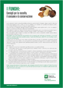 Servizio gratuito di controllo dei funghi raccolti